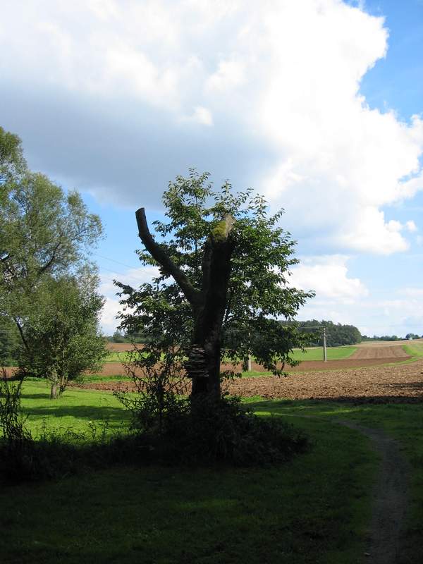 naechstes