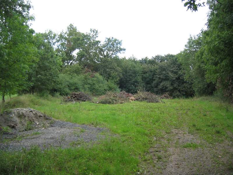 naechstes