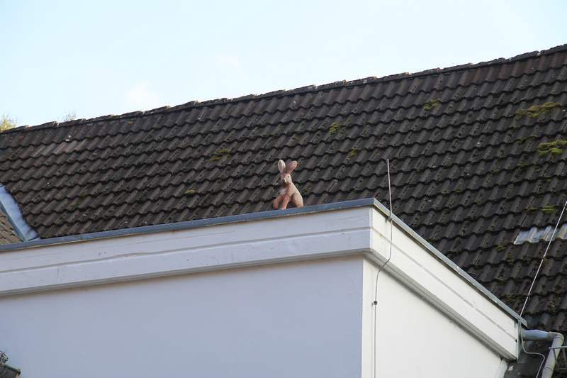 naechstes