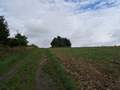 Picture 81
